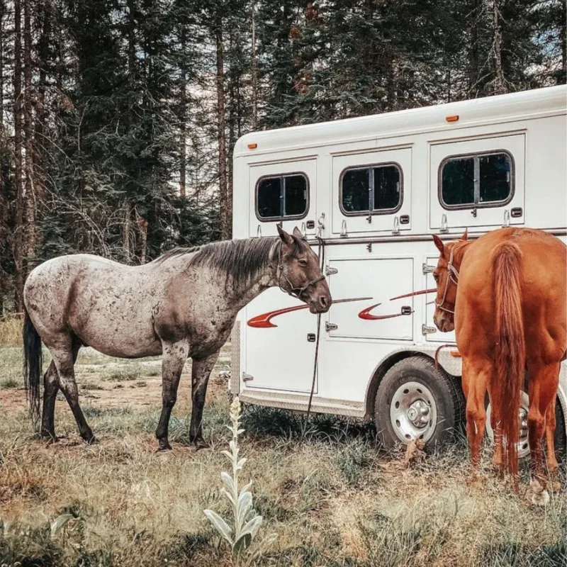 Maxwell Trailers & Pickup Accessories trailers